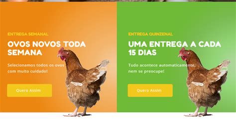 ovo startpagina|Site do Ovo Por Assinatura (@sitedoovo)